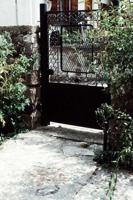 Panthea Stavroupoli