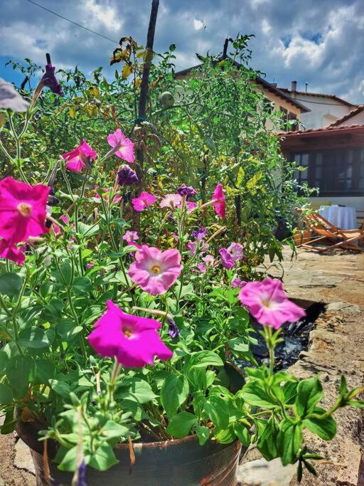 Panthea Apartmán