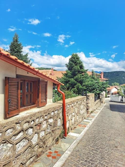 Apartment Panthea *